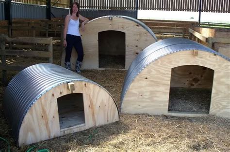 metal pig house|how to build a pig house.